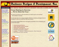 Business development services